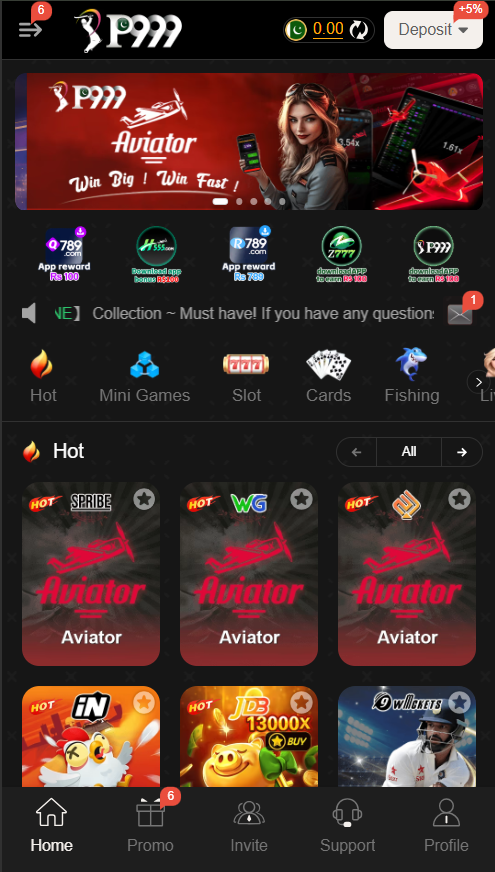 P999 Game Internal Image